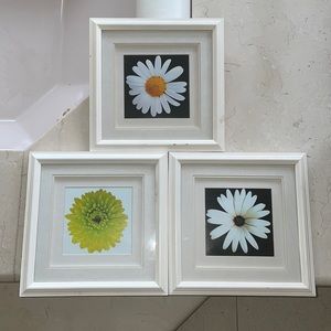 Three 11 x 11 wood floral frames. All sold as a bundle